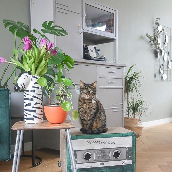 Mixtape Cardboard Cat Scratcher, Large (54 x 31 x 35 cm), Emerald