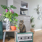 Mixtape Cardboard Cat Scratcher, Large (54 x 31 x 35 cm), Emerald