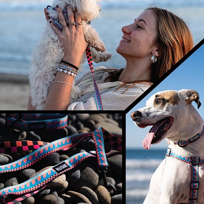 Wolfgang Heavy Duty Dog Leash, Pull-Tested for Walking & Training, Buenaonda, Small