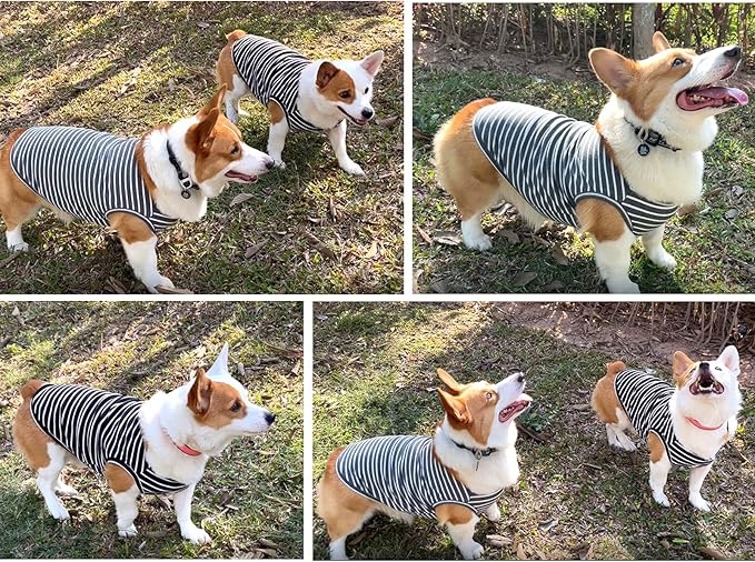 Koneseve Dog Shirt Vest Lightweight Stretchy Dog T-Shirts Soft Cool Shirts Sleeveless Stripe Vests Breathable Clothes for Puppy Kitty Cats Small Medium Large Dogs 2 Pack Black + Grey [ 3XL ]