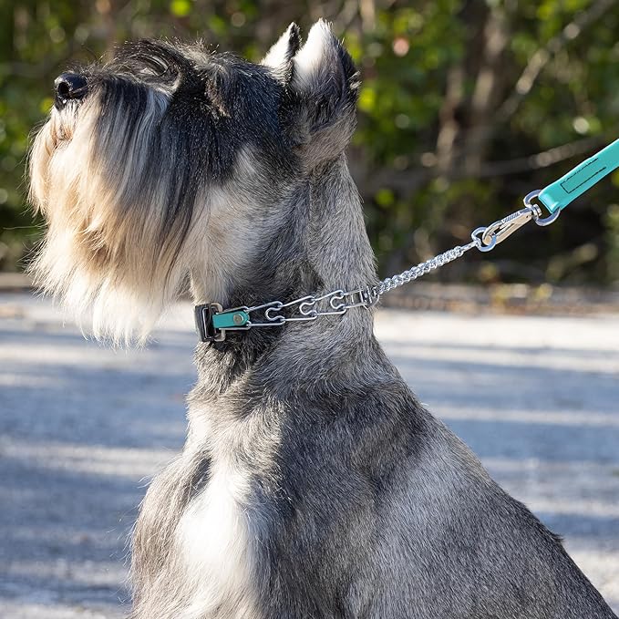 Herm Sprenger Chrome Plated Steel Dog Collar with Quick Release ClicLock Buckle and Biothane Insert Training Collar for Dogs Made in Germany (Sky Blue, 16in x 2.25mm(Neck Size up to 13-14in))