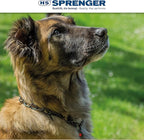 Herm Sprenger – Black Stainless Steel Fur Saver Dog Collar – Medium Link – Professional Training Collar – Assembly Chain – Correction Slip Chain – Made in Germany (22 inches (55 cm))