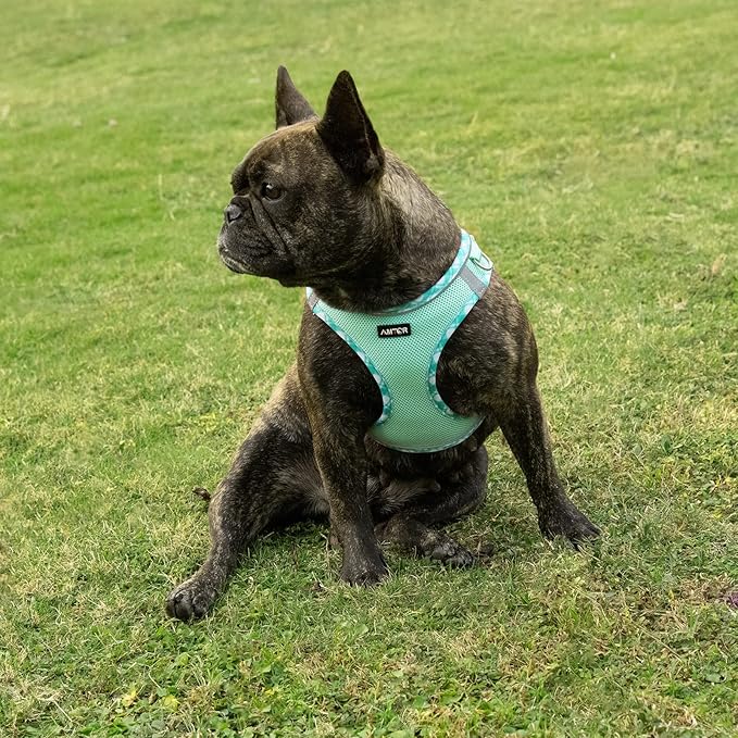 AMTOR Small Dog Harness with Leash Set, No Escape Easy Walk Puppy Harnesses for Training Walking, Step-in Reflective Soft Dogs Vest for XS S Medium Extra-Small Large Sized Dog(Green,L)