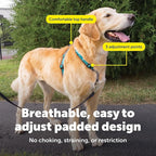 PetSafe 3-in-1 Harness - Comfortable Easy-Walk Dog Chest Harness with Front Leash Attachment to Reduce Pulling, Choking & Gagging - Dog Obedience Gear - Large- Teal