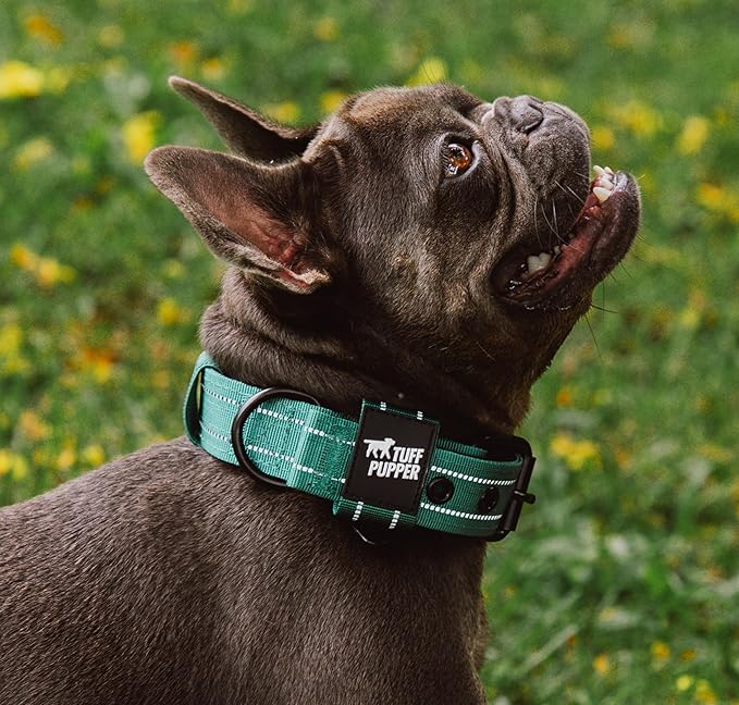 Tuff Pupper Heavy Duty Tactical Dog Collar | 1.25" Wide Ballistic Nylon | Reflective Stitching | Integrated ID Tag Holder | Stainless Steel Buckle | Padded Lining | Small & Medium Dogs (Green, Small)