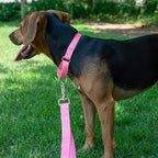 Country Brook Petz - Martingale Dog Collar - Heavy-Duty Training Collar with No Buckle - Service Dog Collar for All Pups - 10+ Warm Colors (Pink, 3/8 Inch, 3XS)
