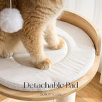 797Audio Morden Solid Wood Cat Tree Tower, 49" Tall Cat Tree with Sisal Scratching Posts and Ladder for Adult Cats, Natural Oak Wooden Cat Tower, Aesthetic Multi-Level Cat Climbing Tree for Indoor Cat