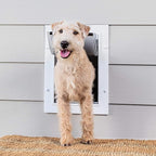 PetSafe Wall Entry Pet Door - Rust-Free Telescoping Frame - Easy Install for Interior & Exterior Walls 4 3/4" - 7" Thick - Medium - for Pets Up to 40 Lb