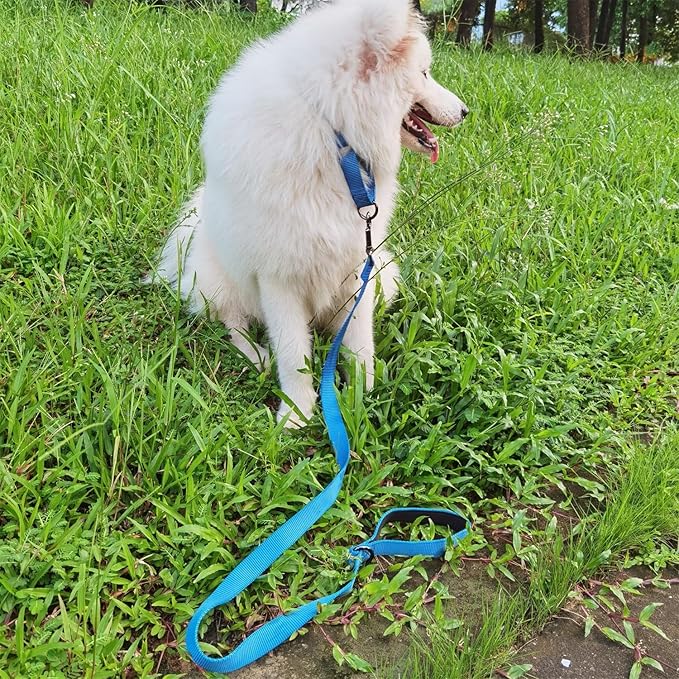 Premium Nylon Adjustable Anti-Escape Martingale Dog Collars,Comfort and Silky Training,Walking Dog Collar with Heavy Duty D-Ring for Medium Active Dogs. (Classic Blue, Medium)