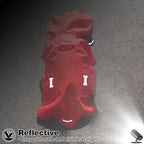 Dog Raincoat,Waterproof Rain Poncho with Hoodie, High Reflective Adjustable Pet Rain Jacket with Leash Hole for Small Medium and Large Dogs (Red, X-Small)