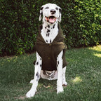 Tuff Pupper Fleece Dog Hoodie Sweater | Teddy Sherpa Outer & Soft Polar Fleece Lining | Adjustable Fit Winter Coat with Hood, Leash Hole, Ribbed Cuffs | for Small Medium Large XL XXL Dogs (Olive, XL)