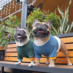 iChoue Pet Dog Crewneck Sweater Color Block Pullover Winter Warm Clothes for English Bulldog Bully Pitbull - Lake Blue and Yellow/XLarge