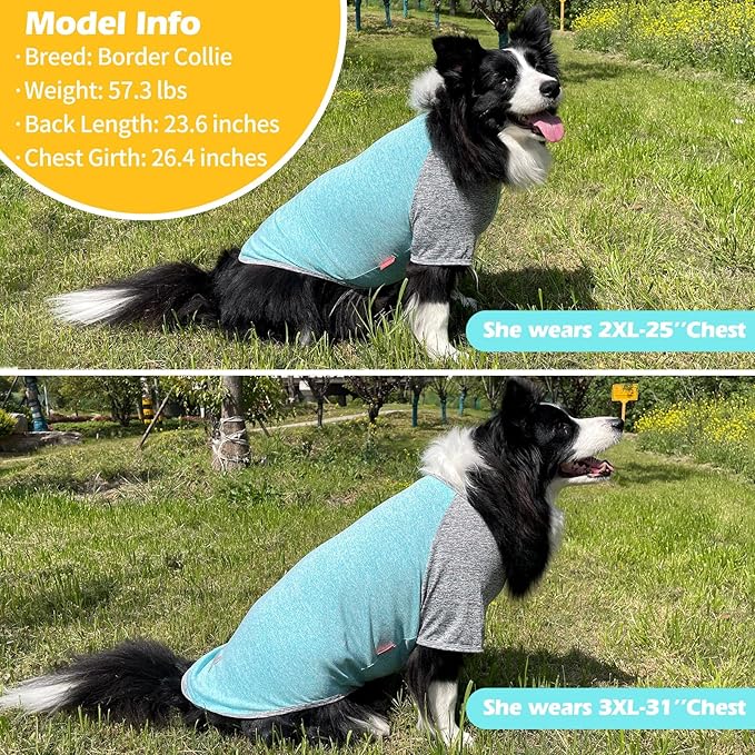 KYEESE 2Pack Dog Shirt with Sleeves, Lightweight Sun Protection Dog T Shirts for Large Dogs Boy, Breathable Pet Tank Top Reflective Dogs Clothes for Summer Outdoor Walking, Grey+Lake, 3XL