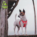 DOCO Dog Harness for Small Sized Dog - Athletica Adjustable, No Pull, No Choke, Puppy Vest Lightweight Air Mesh, Reflective, Puppy Essentials – Gray, Small (Chest 14.5"-15.5", Weight 6–10 lbs)