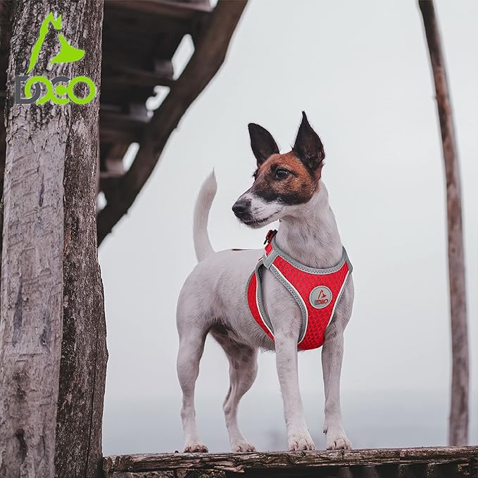 DOCO No Pull Dog Harness for Small Dogs | Adjustable Choke-Free Dog Vest with Breathable Air Mesh | Lightweight Reflective for Training & Daily Walks – Lime, (Chest 14.5"-15.5", Weight 6-10 lbs)