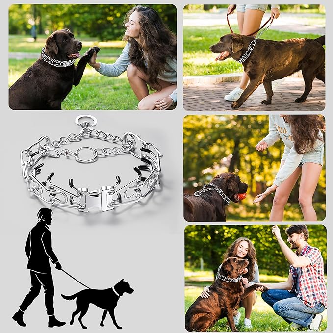 Dog Training Collar, Adjustable Stainless Steel Collar with Quick Release Buckle for Small Medium Large Dogs (S/Neck Girth 11.2"-14.5")