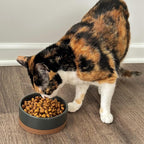 Mora Ceramic Pet Bowl Size Small - Food/Water Dish for Puppy Dogs, Cats, Guinea Pig, Rabbit, Hamster, Snake, ect. 11oz or 2 Cups - Basic Bowls for Your Dog or Cat, Mix and Match for a Set - Charcoal