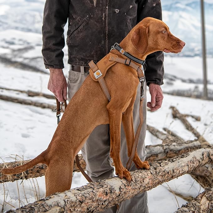 Carhartt Nylon Duck No Pull Dog Harness, Fully Adjustable Dog Harness with Quick Control Handle and Reflective Accents, Deep Wine, X-Large