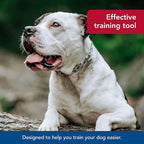 Herm Sprenger - Stainless Steel Ultra-Plus Prong Dog Training Collar - 2.25 mm x 12" Neck Size, 16" Chain Length