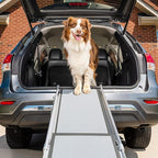 PetSafe CozyUp Bed Ramp for Dogs and Cats - Durable Frame Supports up to 120lb & Happy Ride Telescoping Dog Ramp for Cars, Trucks, & SUVs - Extends 39 to 72 Inches
