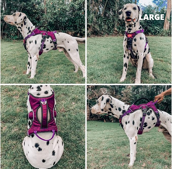 Tuff Pupper Escape Proof No Escape Dog Harness | 5 Point Adjustable Fit Harness for Dogs | Padded Dog Harnesses | Handle Dog Lift Harnesses