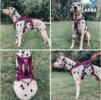 Tuff Pupper Escape Proof No Escape Dog Harness | 5 Point Adjustable Fit Harness for Dogs | Padded Dog Harnesses | Handle Dog Lift Harnesses