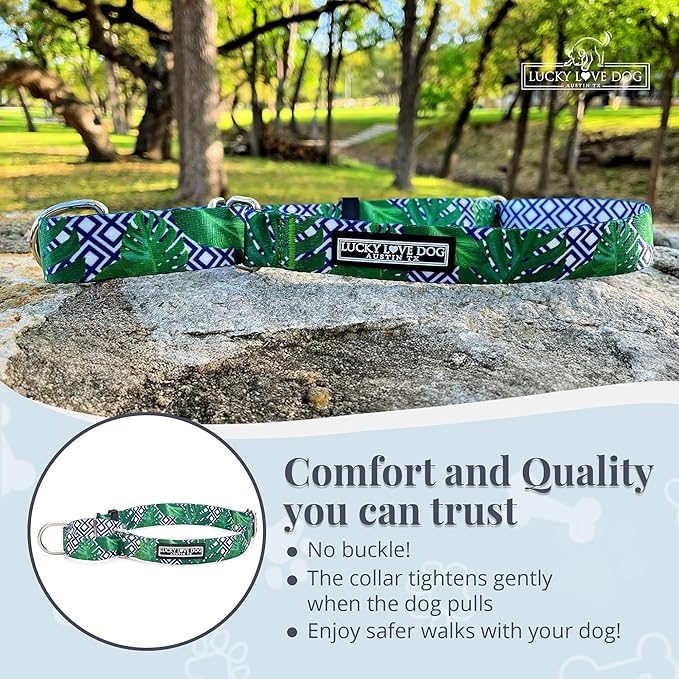 Lucky Love Dog Martingale Collar, Premium No Slip Martingale Collar for Large Boy Dogs, Great for Whippets, Greyhounds, and More (Large, Blue Laguna)
