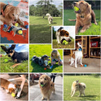 Tennis Balls for Dogs - 12 Pack 2.0'' Durable Non-Toxic Outdoor Dog Toys Balls with Mesh Bag, SGS Certified, Colorful Fetch Toys, Small Breeds (Non Squeaky)