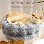 HITTITE Natural Wood Cat Tree Tower with Scratching Post, 32 Inches Tall Modern Cat Tower with Cozy Bed and Platforms, Luxury Real Branch Cat Tree for Indoor Cats Large Adult, Grey.