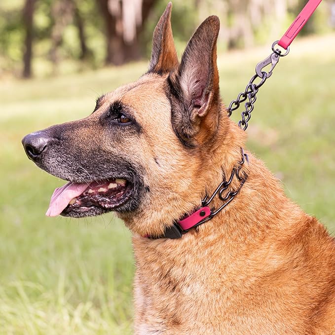 Herm Sprenger Black Stainless Steel Dog Collar with Quick Release ClicLock Buckle O-Ring Biothane Insert Training Collar Made in Germany (Passionfruit Pink, 25in x 4.0mm(Neck Size up to21-22in))