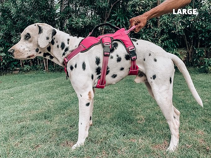 Tuff Pupper Escape Proof No Escape Dog Harness | 5 Point Adjustable Fit Harness for Dogs | Padded Dog Harnesses | Handle Dog Lift Harnesses