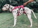 Tuff Pupper Escape Proof No Escape Dog Harness | 5 Point Adjustable Fit Harness for Dogs | Padded Dog Harnesses | Handle Dog Lift Harnesses