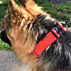 Tactical Dog Collar 2 Inch Wide Thick Heavy Duty Military Style with Metal Buckle, Adjustable for Medium - Large Breeds, Durable K9 Training Gear with Patch Area, USA Flag Patch, Strong and Secure Fit