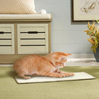 SAFAVIEH Cat Scratch Mat Pad Collection, 16" x 24", Ivory, Sisal & Jute Boucle Weave, Velcro & Slip Resistant Backing