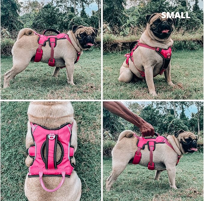 Tuff Pupper Escape Proof No Escape Dog Harness | 5 Point Adjustable Fit Harness for Dogs | Padded Dog Harnesses | Handle Dog Lift Harnesses