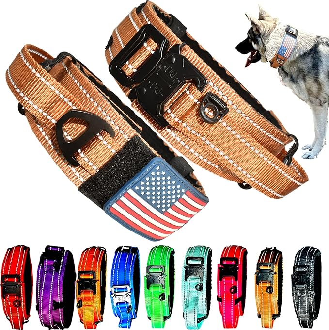 2-Inch Wide Tactical Dog Collar with Control Handle, Adjustable for Medium & Large Dogs, Military Style with Heavy-Duty Metal Buckle, USA Flag Patch & Customizable Name Plate, Training & Everyday Use