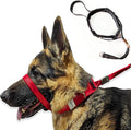 PetsProMax - Dog Headcollar for Pulling and Reactive Dogs; Behind Head Dog Leash Hook Lets You Walk Peacefully; Instantly Stops Your Dog Pulling. Dogs No-Pull Training Collar for Large Dogs. Red (S)