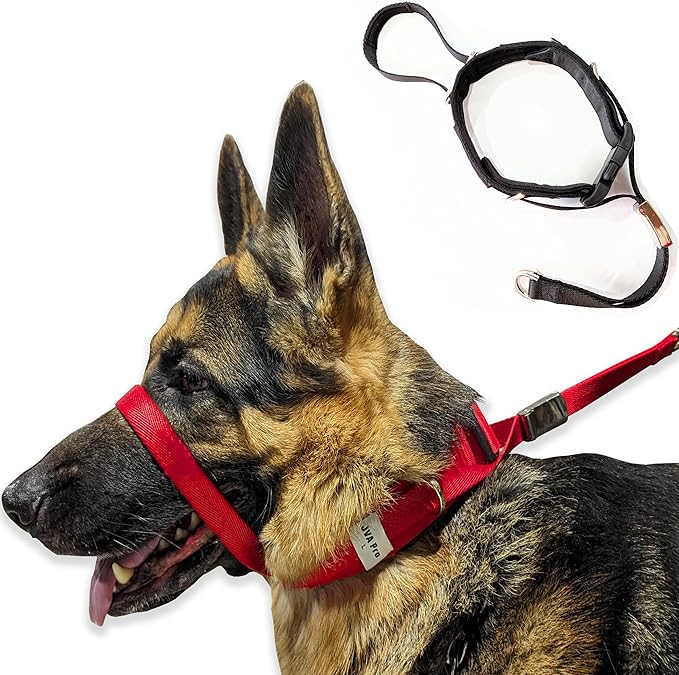 PetsProMax Dog Headcollar for Pulling & Reactive Dogs – No-Pull Training Collar with Behind-Head Leash Hook for Peaceful Walks, Instantly Stops Pulling Without Choking or Pinching (Red, L)
