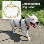 Stainless Steel Dog Pinch Collar - Gold Prong Martingale Collar, Adjustable Size for Medium & Large Dogs (XL, Gold)