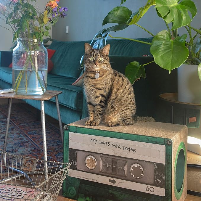 Mixtape Cardboard Cat Scratcher, Large (54 x 31 x 35 cm), Emerald