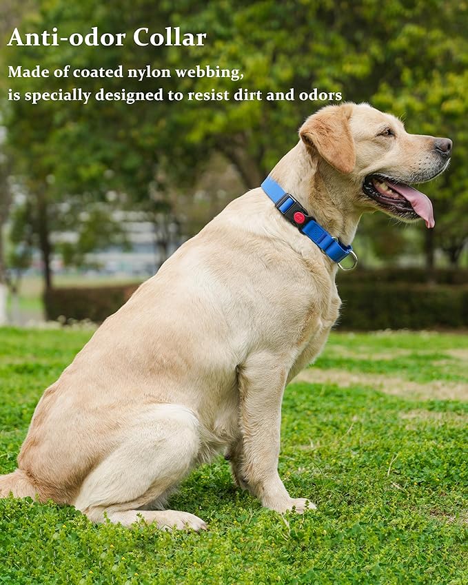 Waterproof Martingale Collar for Dogs,Easy to Clean Dog Collars with Safety Quick Release Buckle,Rubber Collar for Medium Large Dogs Walking Training (Blue, L (19.6-25.9inch))