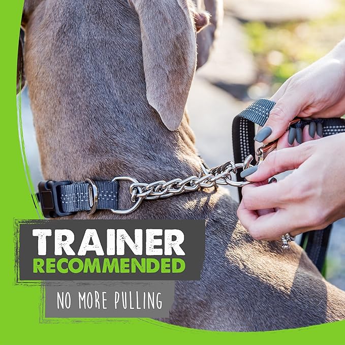 Mighty Paw Martingale Dog Collar 2.0 | Trainer Approved Limited Slip Collar with Stainless Steel Chain & Heavy Duty Buckle - Modified Cinch Collar for Gentle & Effective Pet Training - Medium, Grey