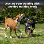 PetSafe Core Remote Trainer Add-A-Dog Collar – Extra Collar for Dog Training Collar with Remote – Waterproof – Tone, Vibration and 15 Levels of Static – Built-in LED Light