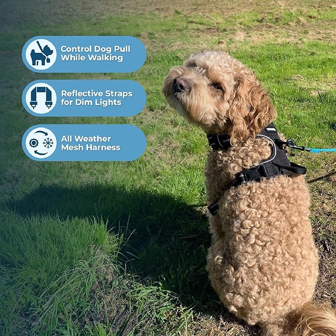 Voyager Dog Harness Dual Leash Attachment No-Pull Control Adjustable Soft but Strong Pet Harness for Medium and Large Dogs with 3M Reflective Technology, Black Nylon, M (Chest: 20-25")