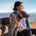 Kurgo Journey Air Dog Harness - Secure Fit for Active Dogs - Padded Chest - Lightweight Ripstop Fabric - Breathable Mesh - Reflective Trim - Back Assist Handle - Coral - Medium
