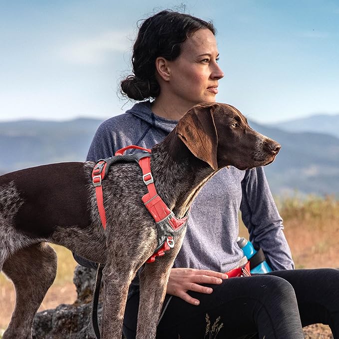 Kurgo Journey Air Dog Harness - Secure Fit for Active Dogs - Padded Chest - Lightweight Ripstop Fabric - Breathable Mesh - Reflective Trim - Back Assist Handle - Coral - Medium