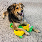 Outward Hound Squeaker Matz Plush Gator Dog Toy, XXL