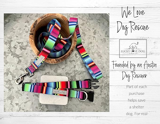 Lucky Love Dog Martingale Dog Collar - Adjustable, No-Slip, Durable, & Soft Webbing Collar for Male and Female Dogs Ideal for Training & Walking - Nacho, Small