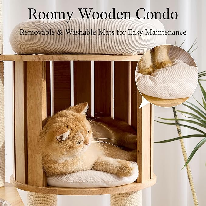 797Audio Wood Modern Cat Tree, 61.5" Tall Cat Tower with Sisal Scratching Posts, Cat Condo, Capsule and Ladder, Solid Wooden Aesthetic Multi-Level Cat Climbing Tree for Large Adult Indoor Cats