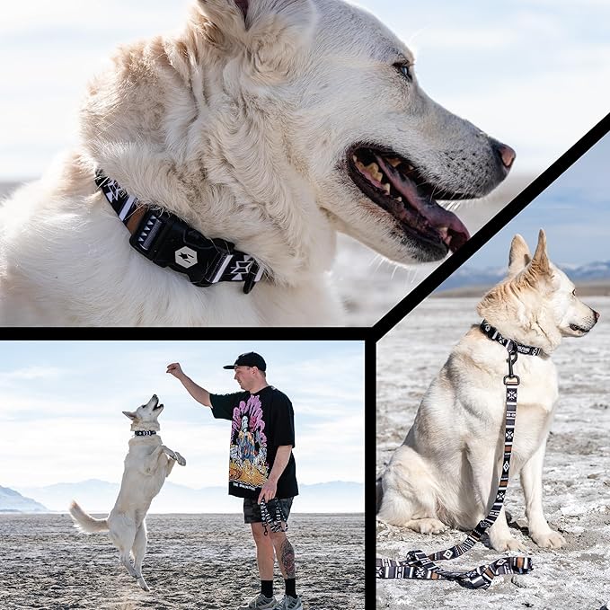 Wolfgang Heavy Duty, Adjustable Dog Collar with Quick Release Nylon Buckle for Walking & Training, NewMoon Print, Medium